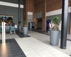 Photo : Allsorted Designs